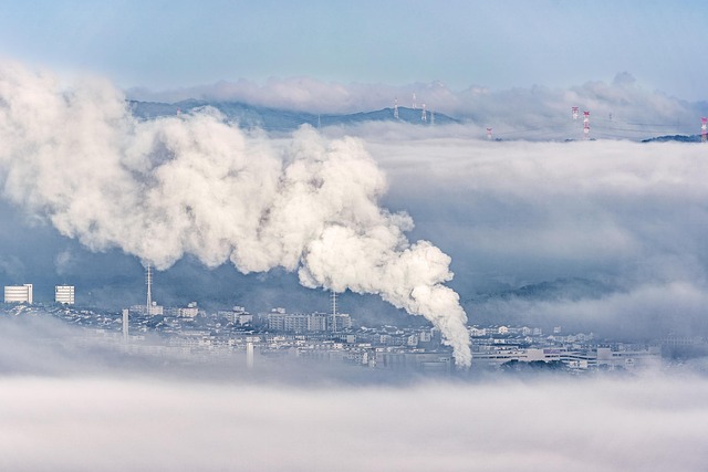 Les victimes du réchauffement climatique